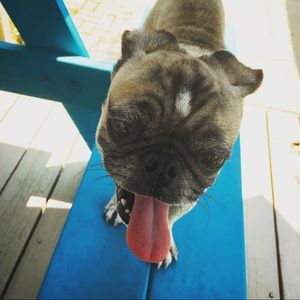 Meet your Posher, Marceil